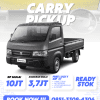 suzuki carry pickup